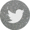  photo twitter 2 silver round social media icon _zps9gon3xzx.png