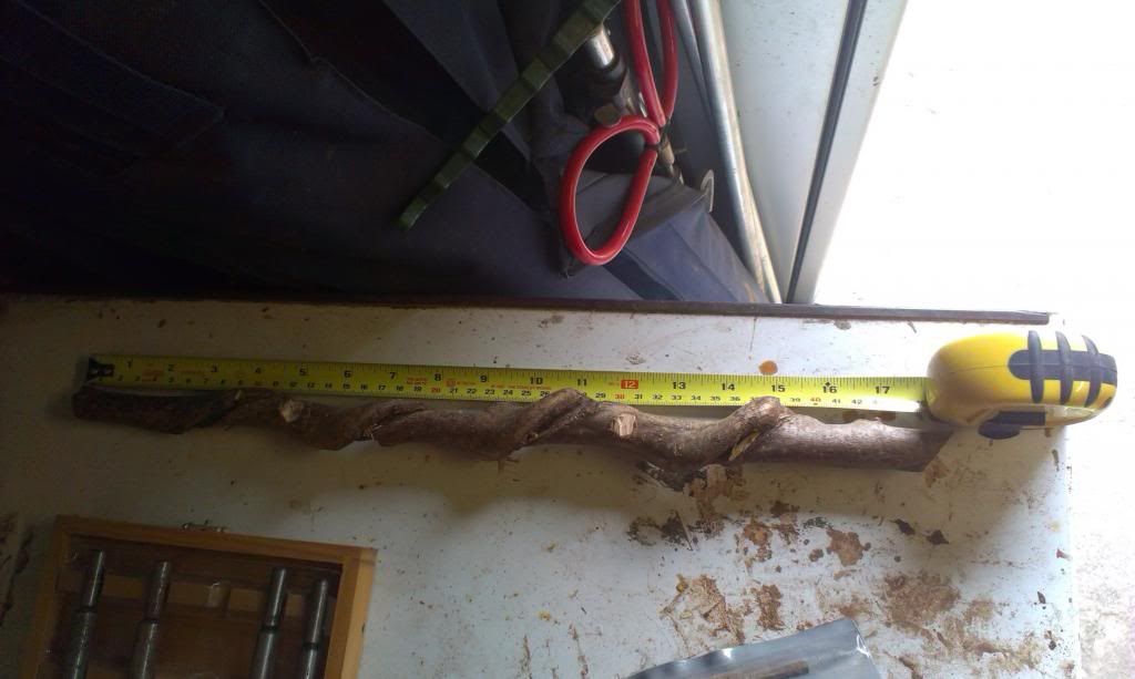 IMAG0207_zpsa2b164e3.jpg