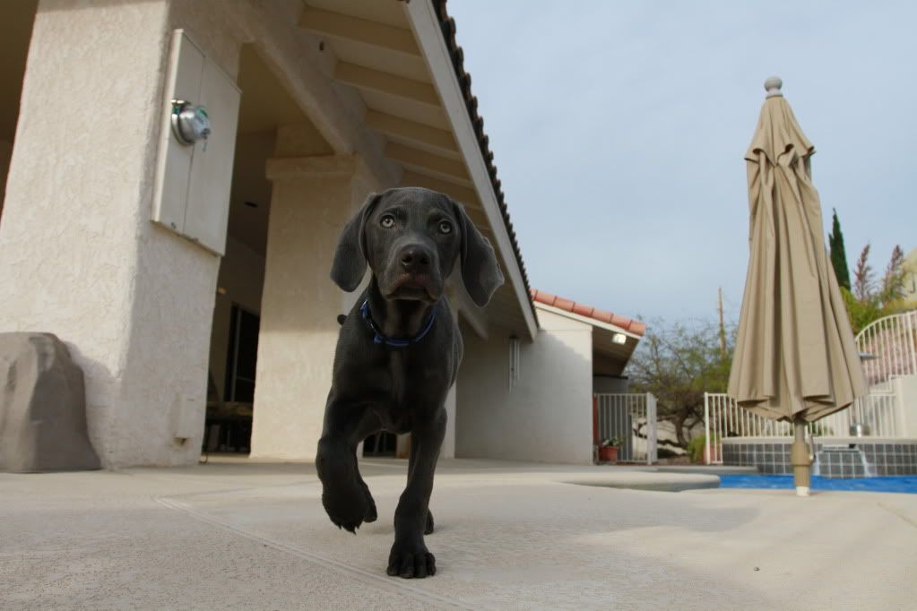 IMAGE: http://i772.photobucket.com/albums/yy10/motohawk/IMG_8344.jpg