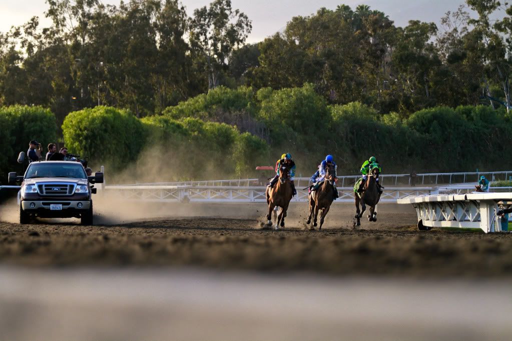 IMAGE: http://i772.photobucket.com/albums/yy10/motohawk/IMG_8696-2.jpg