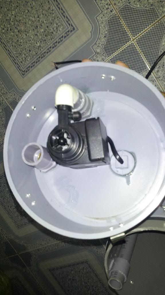 Nhận làm lọc cho AE chơi thủy sinh đây - 1