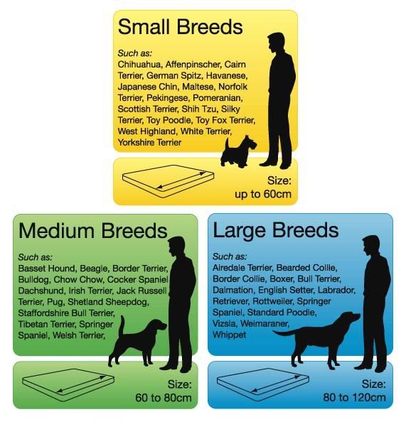 SCRUFFS SLEEPY HOLLOW FAUX LEATHER DOG BED 4 COLOURS