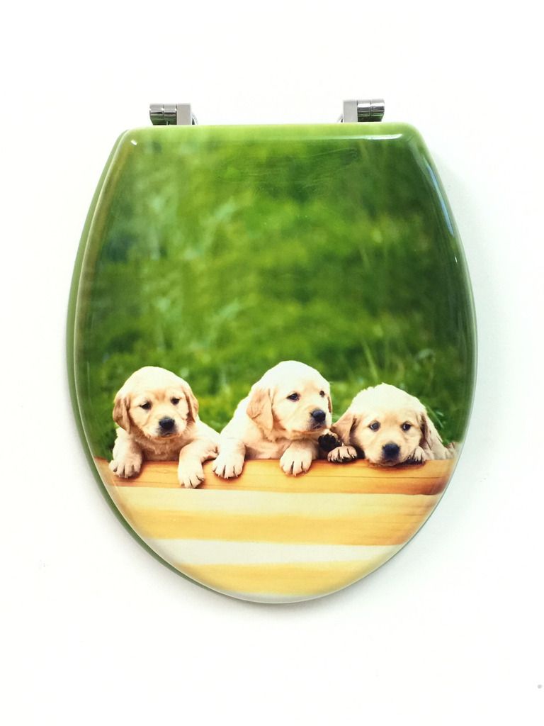 Novelty Toilet Seat Resin Material with Corrosion Free Chrome Hinges