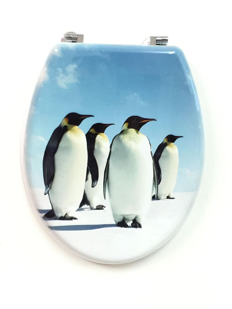 Novelty Toilet Seat Resin Material with Corrosion Free Chrome Hinges