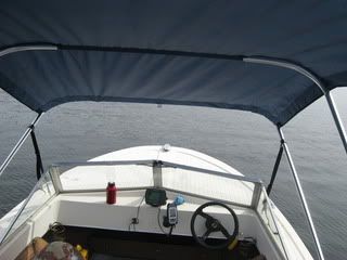 IMG_4041.jpg