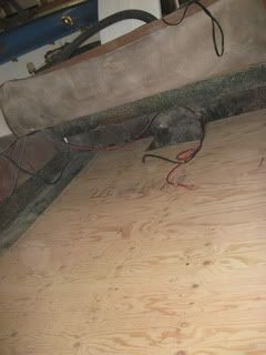 IMG_3779.jpg