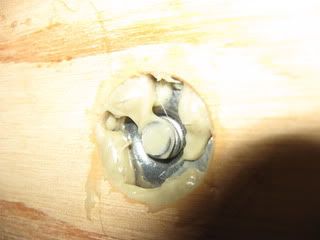 IMG_3810.jpg