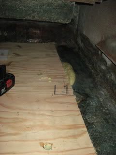 IMG_3790.jpg