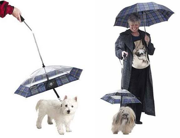 guarda-chuva,cachorro