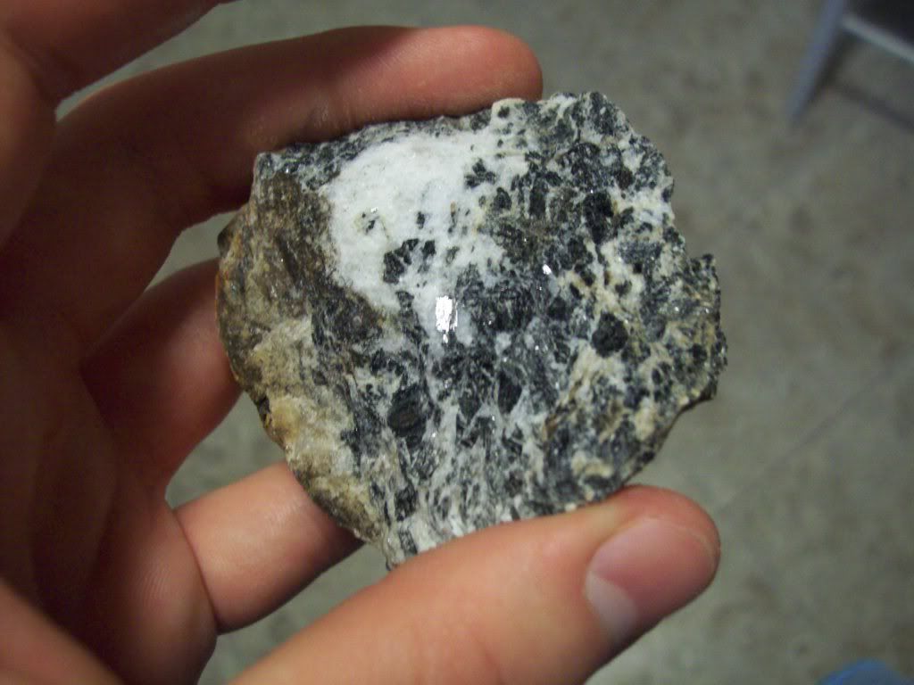 Unidentified North Carolina Rocks 🧭 The Original Treasure Hunting site