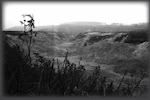 babi yar
