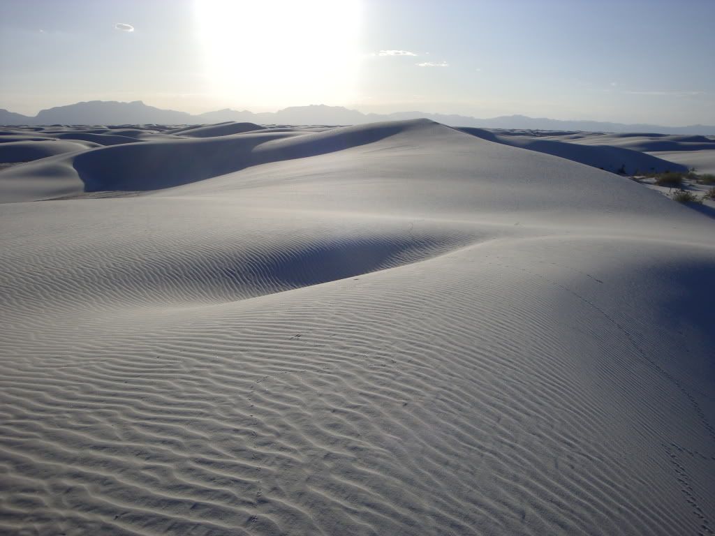 white sands