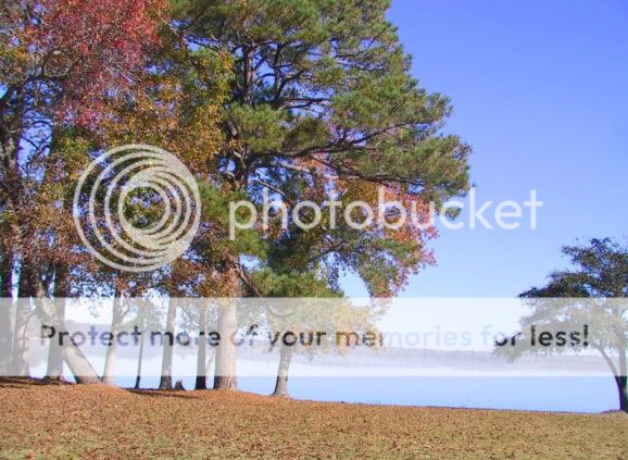   east of Lake Livingston and beautiful Lake Livingston State Park