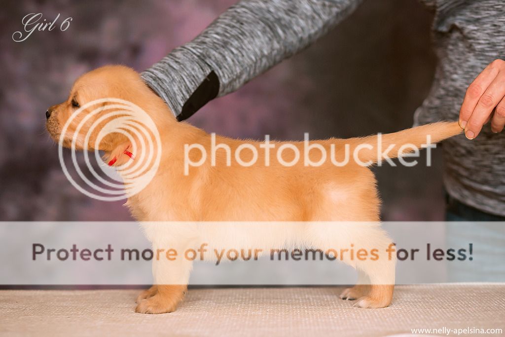 Photobucket - Video and Image Hosting